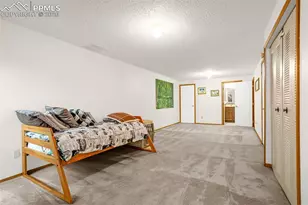 2508 Blazek Loop, Colorado Springs, CO 80918 - Photo 17