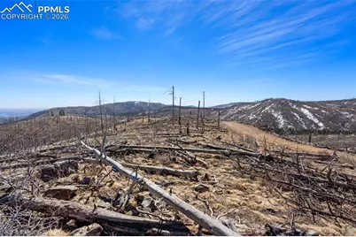 0 Rist Creek Road, Bellvue, CO 80512 - Photo 5