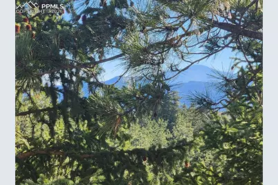 19340 Shadowood Drive, Monument, CO 80132 - Photo 39