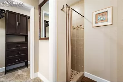 4101 Spruce Road, Woodland Park, CO 80863 - Photo 33