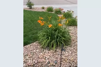 10853 Torreys Peak Way, Peyton, CO 80831 - Photo 3