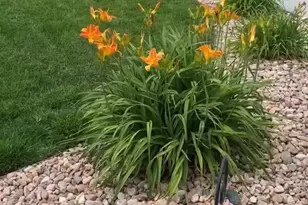 10853 Torreys Peak Way, Peyton, CO 80831 - Photo 3