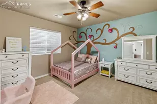 1102 Crystal Basin Dr, Colorado Springs, CO 80921 - Photo 23