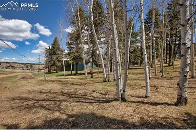 571 Will Scarlet Drive, Divide, CO 80814 - Photo 1