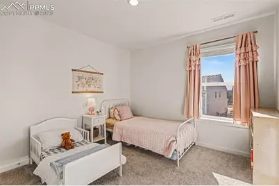 2315 Coyote Mint Drive, Monument, CO 80132 - Photo 13