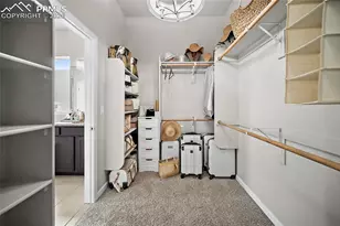 6427 Loaderman Dr, Colorado Springs, CO 80924 - Photo 29