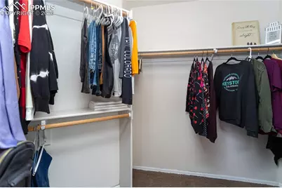 286 Luxury Lane, Colorado Springs, CO 80921 - Photo 31