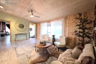 891 S Mountain Estates Rd, Florissant, CO 80816 - Photo 11