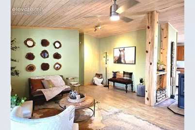 891 S Mountain Estates Road, Florissant, CO 80816 - Photo 9
