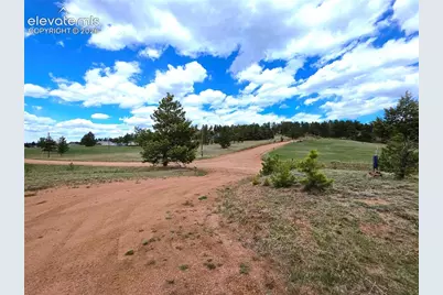 891 S Mountain Estates Road, Florissant, CO 80816 - Photo 47