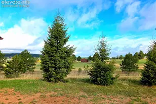 891 S Mountain Estates Rd, Florissant, CO 80816 - Photo 49