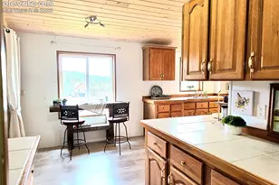 891 S Mountain Estates Rd, Florissant, CO 80816 - Photo 19