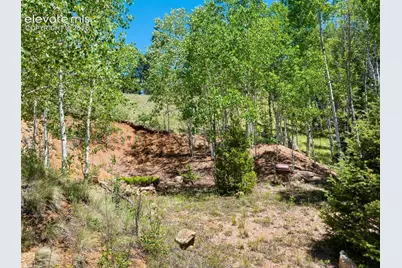 404 Morning Star Creek Trail, Florissant, CO 80816 - Photo 9