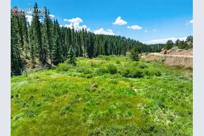 404 Morning Star Creek Trail, Florissant, CO 80816 - Photo 11
