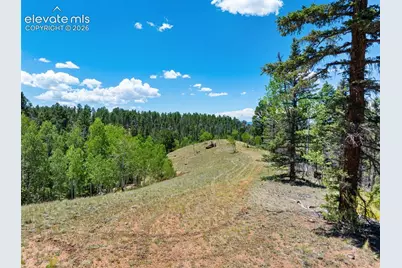 404 Morning Star Creek Trail, Florissant, CO 80816 - Photo 7
