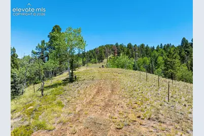 404 Morning Star Creek Trail, Florissant, CO 80816 - Photo 3