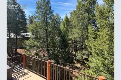 269 Southpark Road, Florissant, CO 80816 - Photo 27
