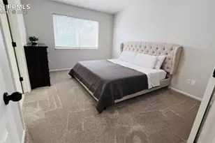 5551 Sunshade Point, Colorado Springs, CO 80923 - Photo 11