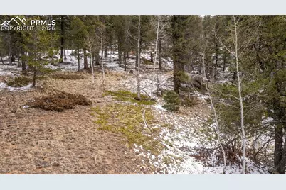 3388-3410 N Mountain Estates Road, Florissant, CO 80816 - Photo 29