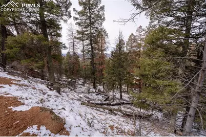 3388-3410 N Mountain Estates Road, Florissant, CO 80816 - Photo 9