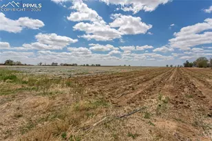 21550 Hanover Rd, Colorado Springs, CO 80928 - Photo 23