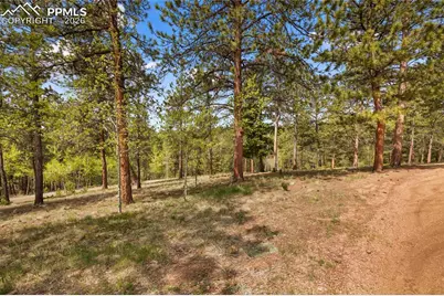 381 Saddleback Creek Drive, Florissant, CO 80816 - Photo 37