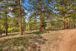 381 Saddleback Creek Dr, Florissant, CO 80816 - Photo 37