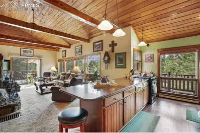 381 Saddleback Creek Drive, Florissant, CO 80816 - Photo 9