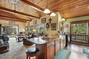 381 Saddleback Creek Dr, Florissant, CO 80816 - Photo 9