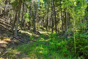 13446 S Firedog Way, Larkspur, CO 80118 - Photo 1