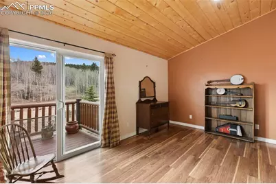 689 Divide South Drive, Divide, CO 80814 - Photo 29