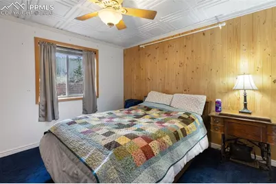 689 Divide South Drive, Divide, CO 80814 - Photo 41