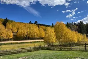 689 Divide S Dr, Divide, CO 80814 - Photo 41