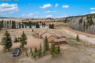 689 Divide S Dr, Divide, CO 80814 - Photo 3