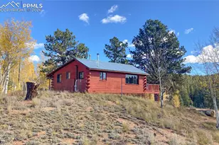 79 Beaver Creek Cir, Florissant, CO 80816 - Photo 3