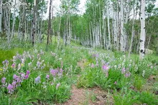 79 Beaver Creek Cir, Florissant, CO 80816 - Photo 27