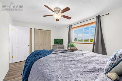 4242 Amiable Way, Colorado Springs, CO 80917 - Photo 11