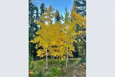 190 Shannon Place, Divide, CO 80814 - Photo 29