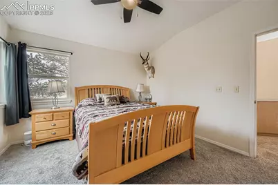 190 Shannon Place, Divide, CO 80814 - Photo 17