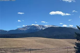 190 Shannon Pl, Divide, CO 80814 - Photo 25