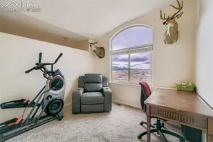 190 Shannon Pl, Divide, CO 80814 - Photo 21