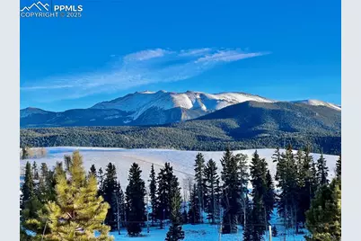 190 Shannon Place, Divide, CO 80814 - Photo 31