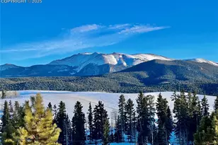 190 Shannon Pl, Divide, CO 80814 - Photo 31