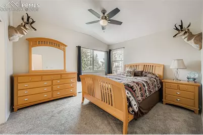 190 Shannon Place, Divide, CO 80814 - Photo 15