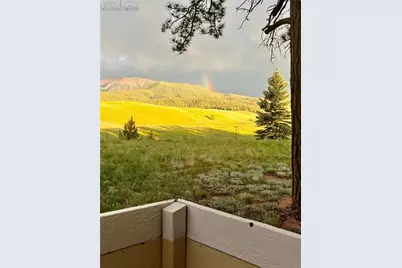 190 Shannon Place, Divide, CO 80814 - Photo 27