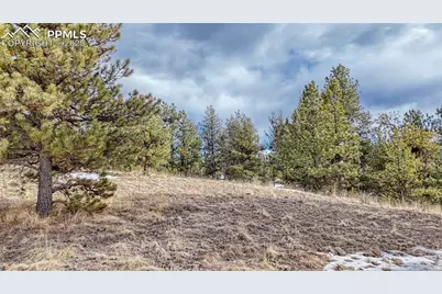 1486 S Mountain Estates Road, Florissant, CO 80816 - Photo 19