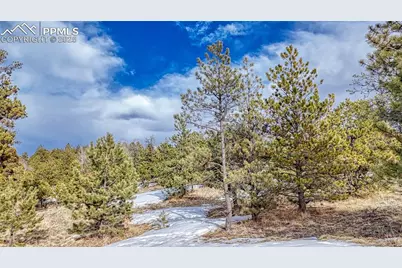 1486 S Mountain Estates Road, Florissant, CO 80816 - Photo 23