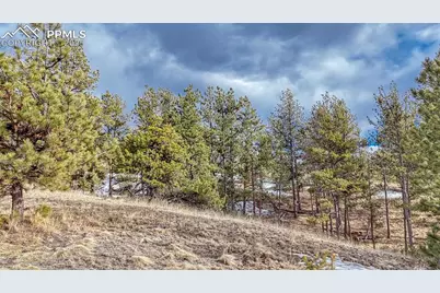 1486 S Mountain Estates Road, Florissant, CO 80816 - Photo 15