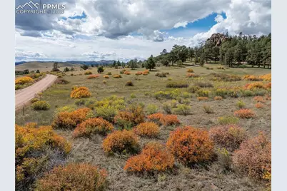 1828 Sioux Road, Florissant, CO 80816 - Photo 41