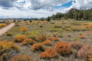 1828 Sioux Rd, Florissant, CO 80816 - Photo 41